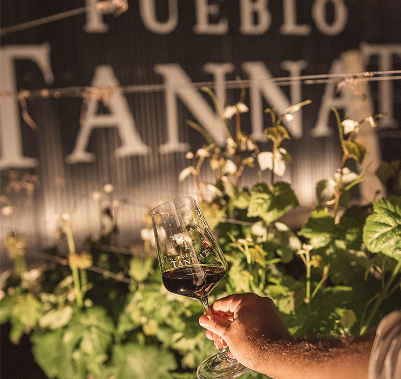 imagen de una mano sujetando una copa de vino medio llena con el logo de Tannat detrás
